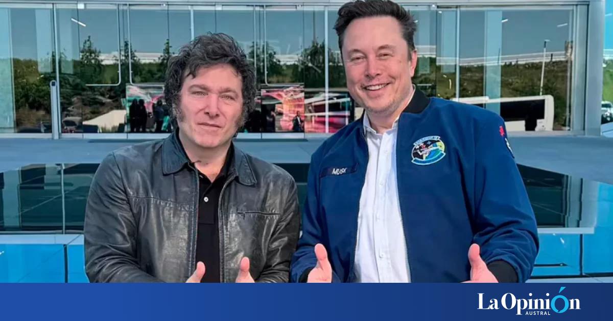 Elon Musk elogió a Milei en medio de la contienda judicial con Brasil ...