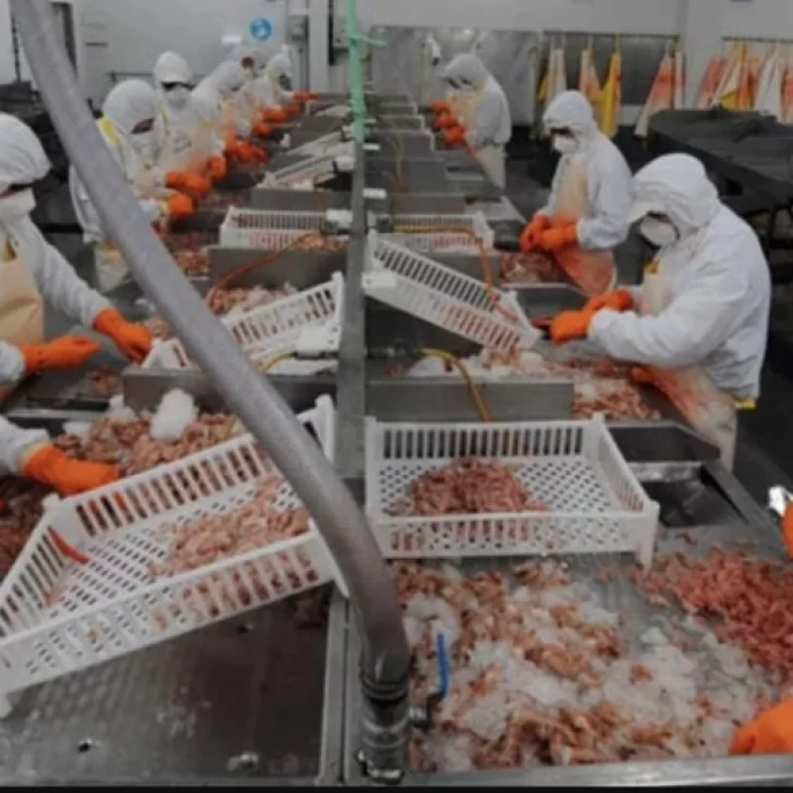 Tensión en la industria pesquera: empresarios piden una reducción salarial del 30% para los trabajadores Tensión en la industria pesquera: empresarios piden una reducción salarial del 30% para los trabajadores