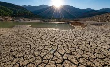 Advierten que el impacto de las sequías en pastizales es mayor al estimado