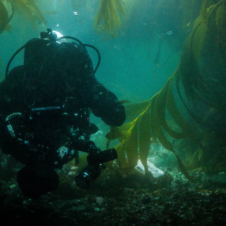 Fundación Por el Mar estrena el documental “Pyrifera” en el Día Mundial de los Océanos