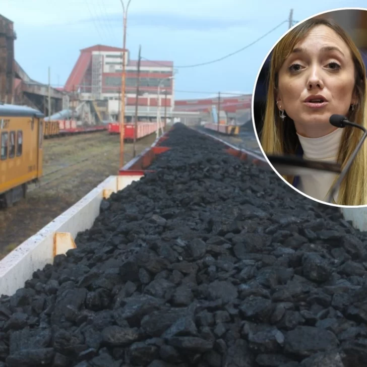 Senadora acusó a Nación de ocultar que YCRT tiene minerales raros con alto valor para tecnología Senadora acusó a Nación de ocultar que YCRT tiene minerales raros con alto valor para tecnología