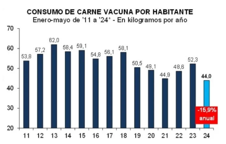 CONSUMO-DE-CARNE-ARGENTINA-8743-1-1