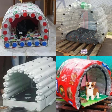 Arma “cuchitas” con materiales reciclados para los perros de la calle y necesita materiales