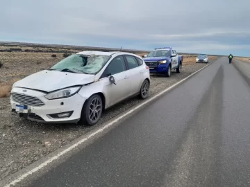 Vecino de Río Gallegos chocó contra un guanaco en La Esperanza