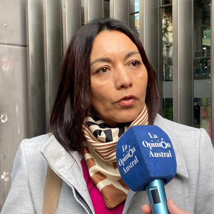 Alcira Brizuela: “Al interior del país nos dejaron sin subsidios en enero de 2024 y se han triplicado las tarifas”