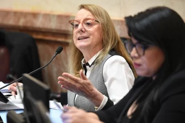 Alicia Kirchner: “Ni el Estado es criminal, ni somos ratas, ni la casta es nuestro pueblo”