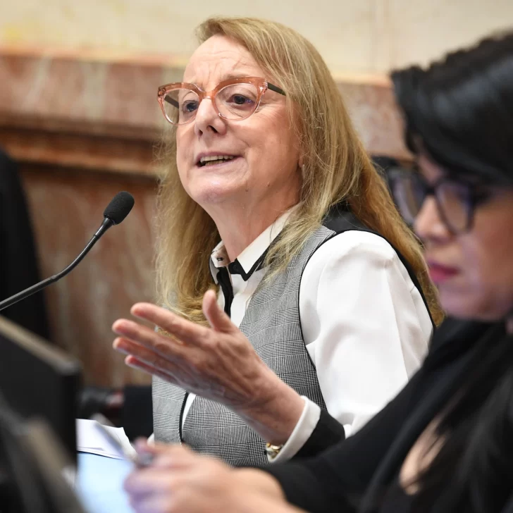 Alicia Kirchner: “Ni el Estado es criminal, ni somos ratas, ni la casta es nuestro pueblo”