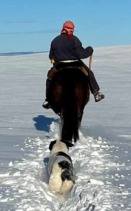 caballo-nieve-peon-rural-estancias-invierno-2-452x728