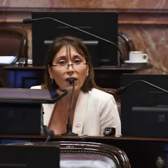 Una senadora fueguina pidió un “apto psicológico” para ocupar el cargo de Presidente