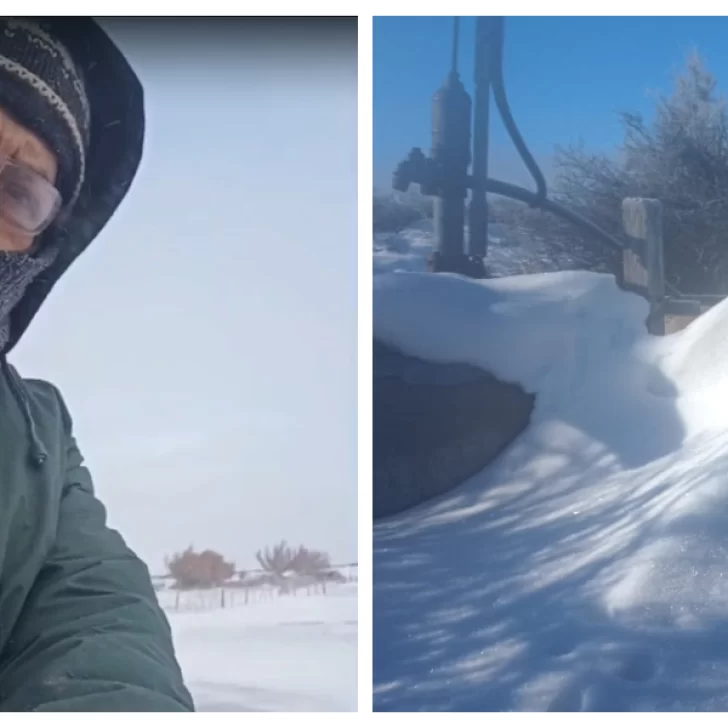 Cómo se vive el temporal en el campo de Santa Cruz: “Los corrales de las vacas están tapados con 1,50 mts. de nieve”