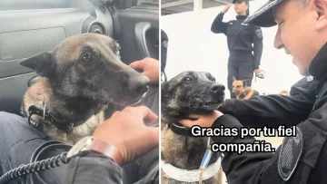 La emotiva despedida a Kiara, la perra policía que se jubiló: ¡Gracias por el legado! La emotiva despedida a Kiara, la perra policía que se jubiló: ¡Gracias por el legado!