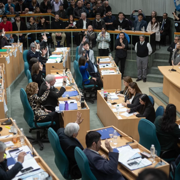 La Cámara de Diputados de Santa Cruz derogó la Ley de Lemas