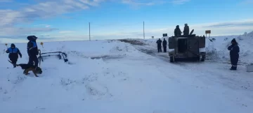 A doce días de su desaparición, continúan los rastrillajes en estancias en busca de Luis Sea