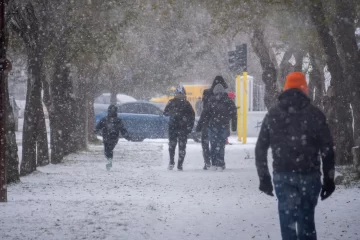 Alerta amarilla por nevadas en una provincia de la Patagonia: se esperan hasta 30cm de nieve