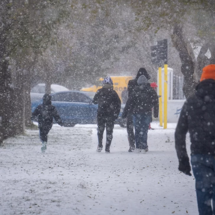 Alerta amarilla por nevadas en una provincia de la Patagonia: se esperan hasta 30cm de nieve