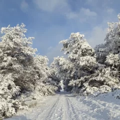 Alerta por fuertes nevadas en una región cordillerana de Santa Cruz