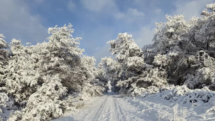 Alerta por fuertes nevadas en una región cordillerana de Santa Cruz