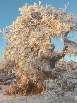 Clima en El Calafate: pronóstico del tiempo para este viernes 20 de septiembre de 2024