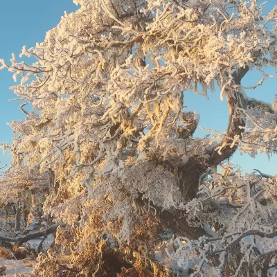 Clima en El Calafate: pronóstico del tiempo para este sábado 9 de noviembre de 2024