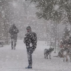 Alerta por fuertes nevadas en Santa Cruz para este jueves: qué zonas afectará