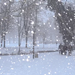 Alerta amarilla por nevadas para casi toda Santa Cruz