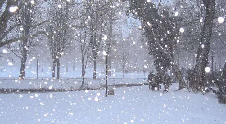 Alerta amarilla por nevadas para casi toda Santa Cruz