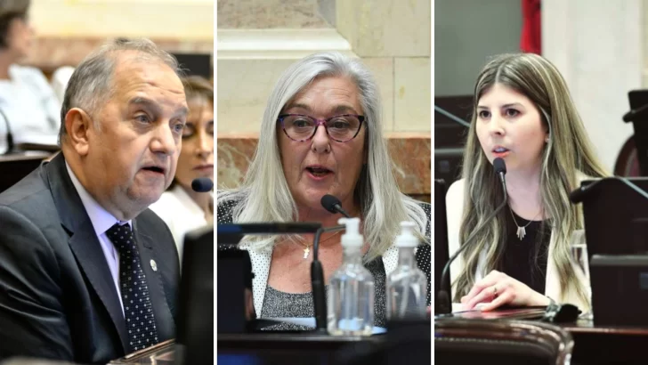 Ley Bases: ¿Cómo votaron los senadores de Chubut y cuáles fueron sus fundamentos?
