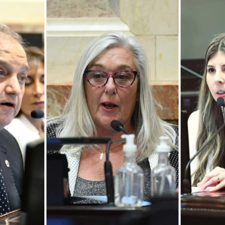 Ley Bases: ¿Cómo votaron los senadores de Chubut y cuáles fueron sus fundamentos?