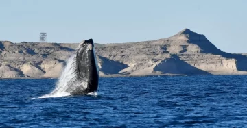 Finde largo: el turismo interno dejó un impacto económico estimado en $262.627 millones Finde largo: el turismo interno dejó un impacto económico estimado en $262.627 millones