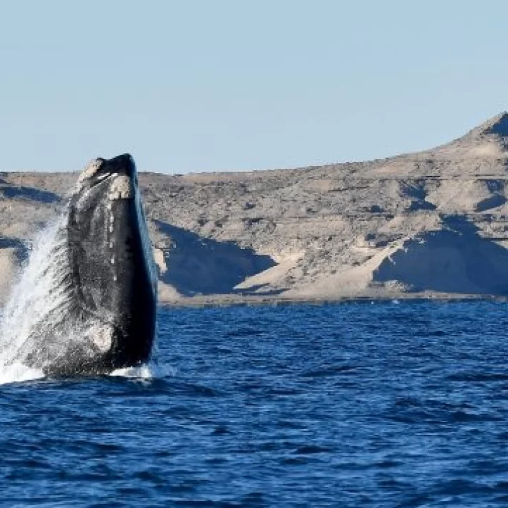 Finde largo: el turismo interno dejó un impacto económico estimado en $262.627 millones Finde largo: el turismo interno dejó un impacto económico estimado en $262.627 millones