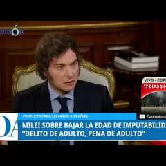 Javier Milei pidió la baja en edad la edad de imputabilidad a los 13 años