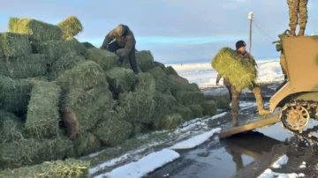 Jamieson sobre el panorama “angustiante” en el campo: “Necesitamos que nos abran las rutas”