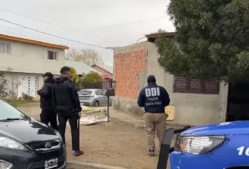 Inseguridad: fueron por una causa de robo y hallaron cerca de quince plantas de marihuana