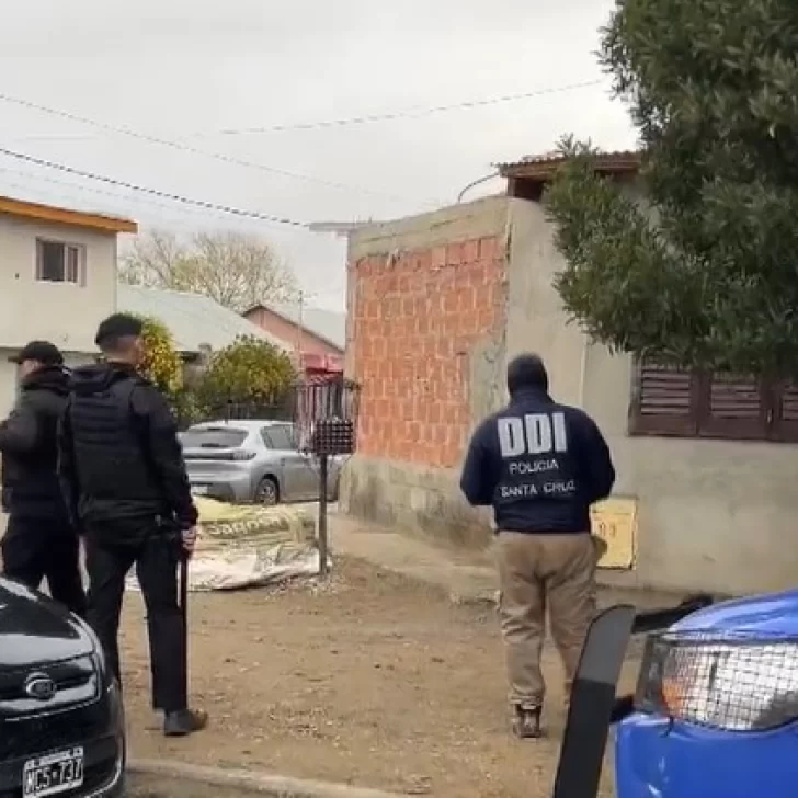 Inseguridad: fueron por una causa de robo y hallaron cerca de quince plantas de marihuana