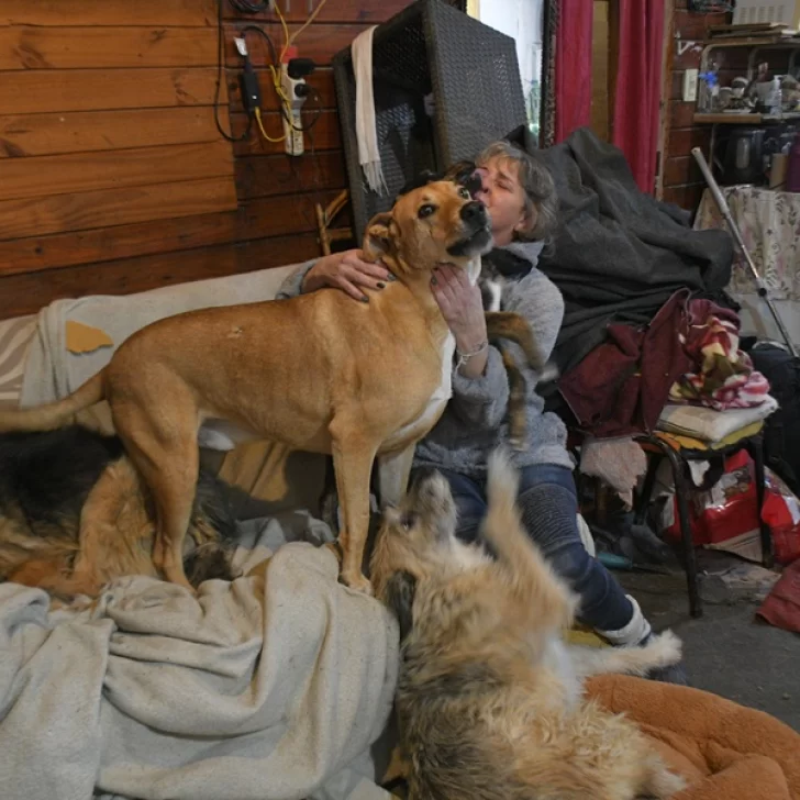 Tiene cáncer, 19 mascotas y se le incendió su casa: “Tengo frío”