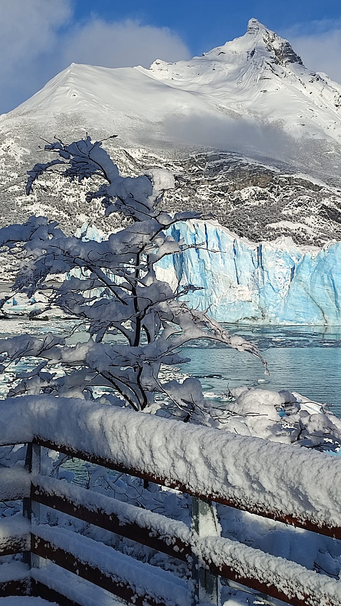 TURISTA-GLACIAR-PERITO-MORENO-1231231-410x728