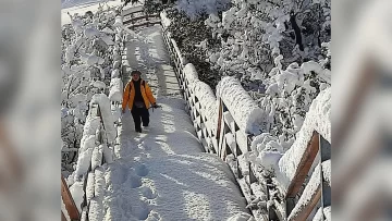 Un taxista desafió la nieve para cumplir el sueño de una turista de conocer el Glaciar Perito Moreno