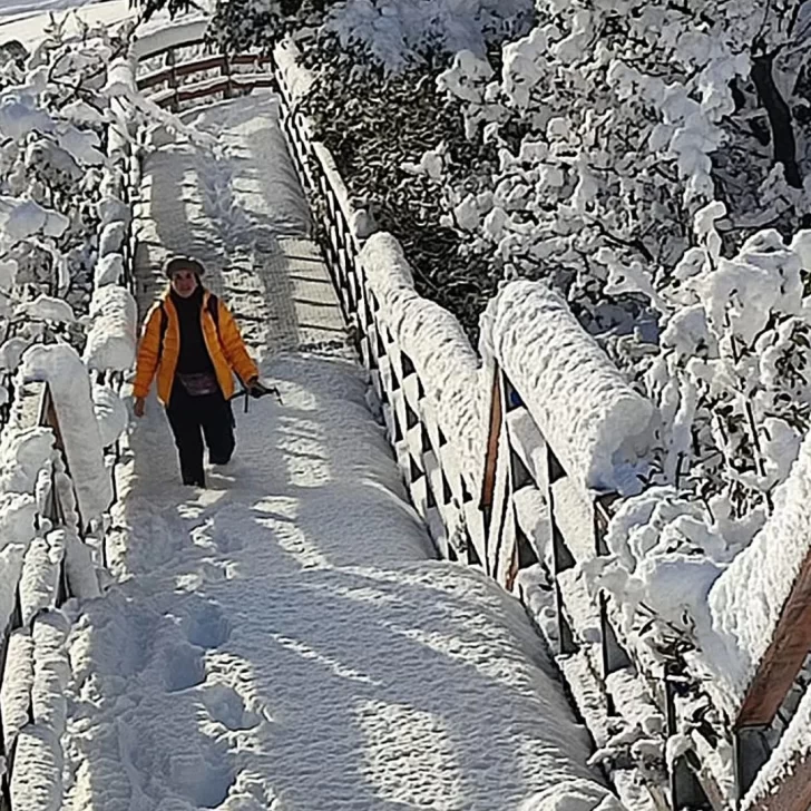 Un taxista desafió la nieve para cumplir el sueño de una turista de conocer el Glaciar Perito Moreno