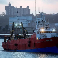 Estibador fue aplastado por una tapa que pesa más de 500 kilos