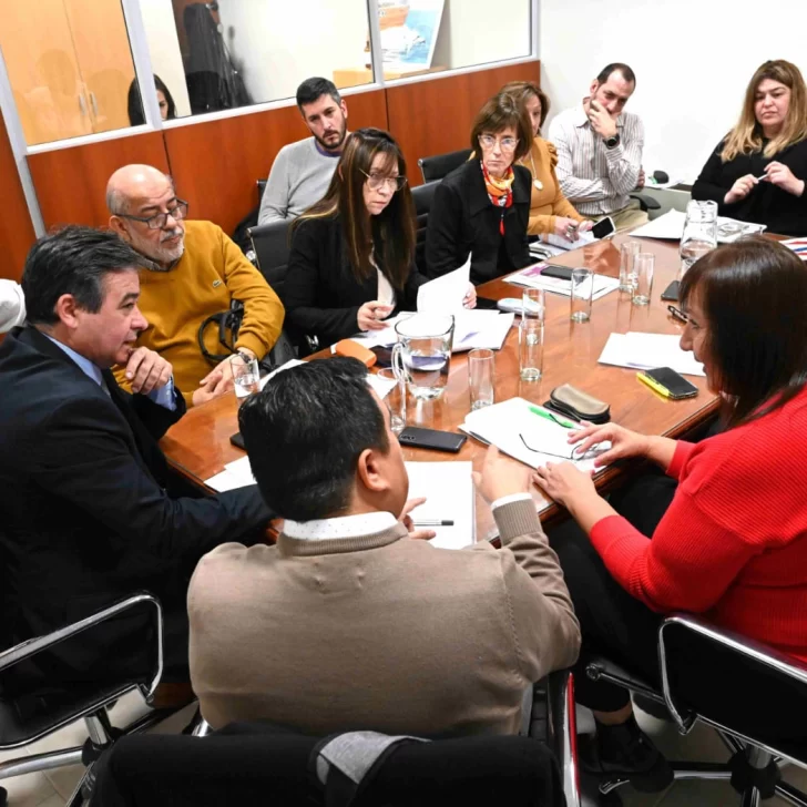 Legislatura de Chubut: dictamen favorable a modificaciones del Presupuesto 2024