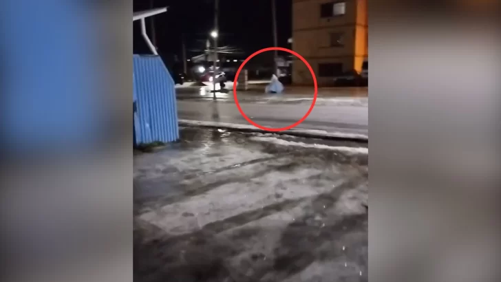 Un video viral muestra “duendes” caminando en la escarcha en Río Gallegos