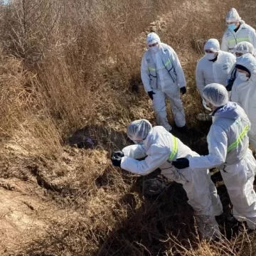 Femicidio en La Pampa: la mujer asesinada tenía nueve hijos y ocho de ellos viven en Santa Cruz