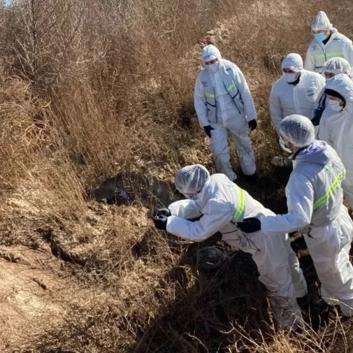 Femicidio en La Pampa: la mujer asesinada tenía nueve hijos y ocho de ellos viven en Santa Cruz