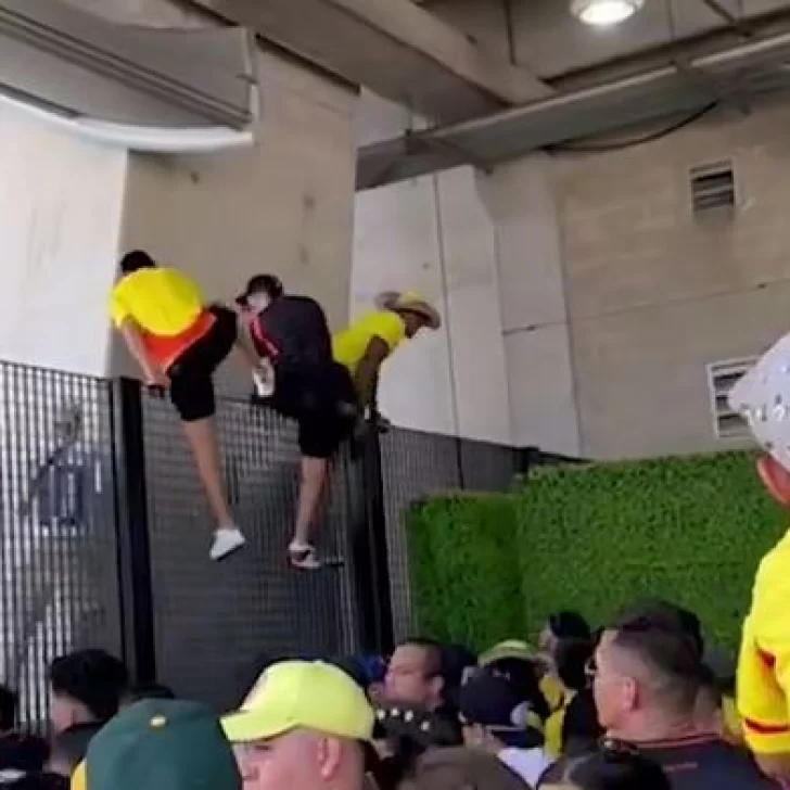 En la previa a la final de la Copa América: hinchas intentaron colarse y hay detenidos