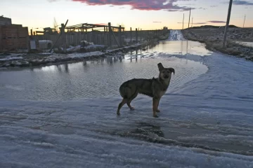 Comenzó el deshielo y comenzaron a formarse “lagunas”