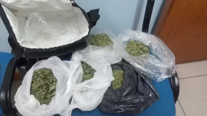 Viajaban a la Patagonia con marihuana y hongos alucinógenos para vender: terminaron detenidos