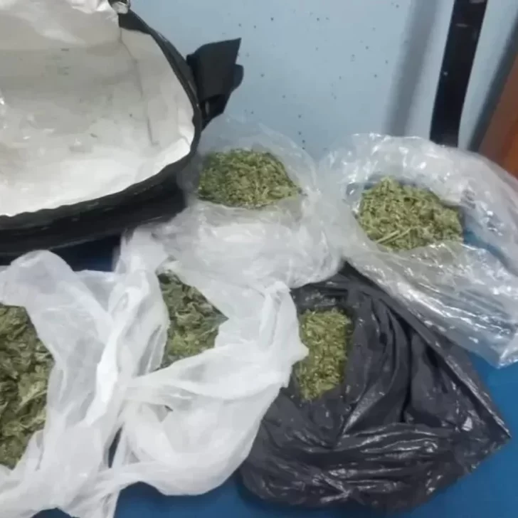 Viajaban a la Patagonia con marihuana y hongos alucinógenos para vender: terminaron detenidos