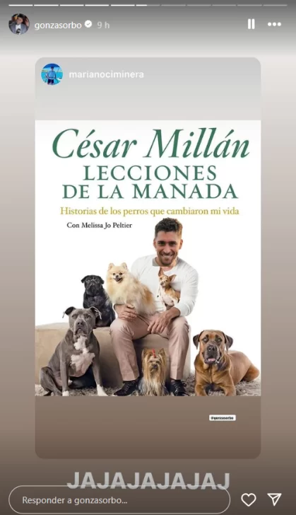 periodista-atacado-por-perro-439-2-419x728