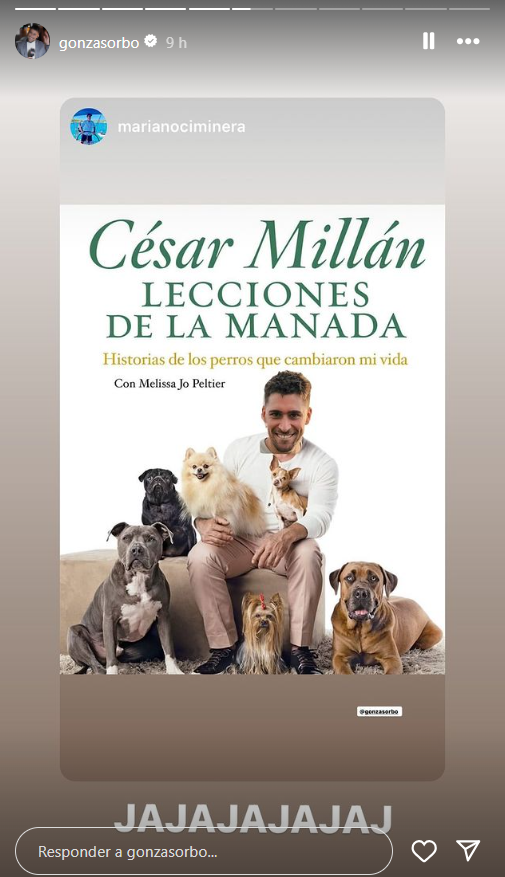periodista-atacado-por-perro-439-2-419x728
