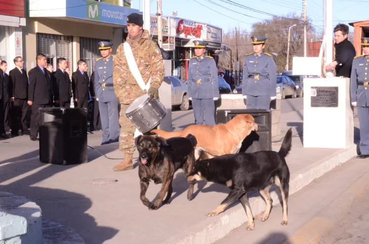  Un día para reflexionar sobre el vínculo humano-canino
